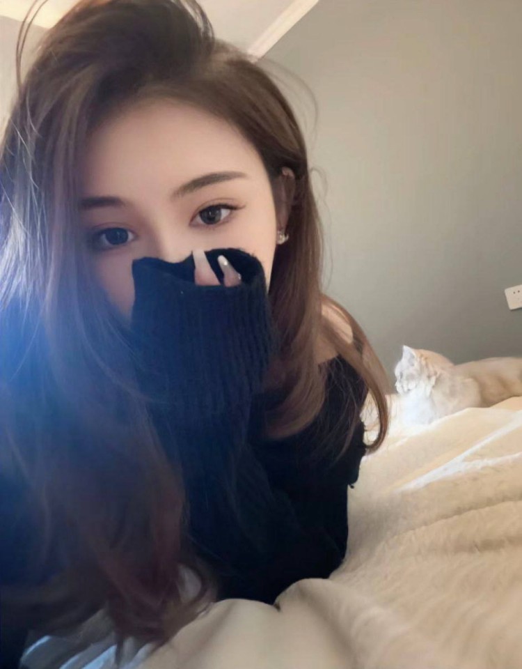 三年大片在线观看免费观看第一集,好看的高清影视